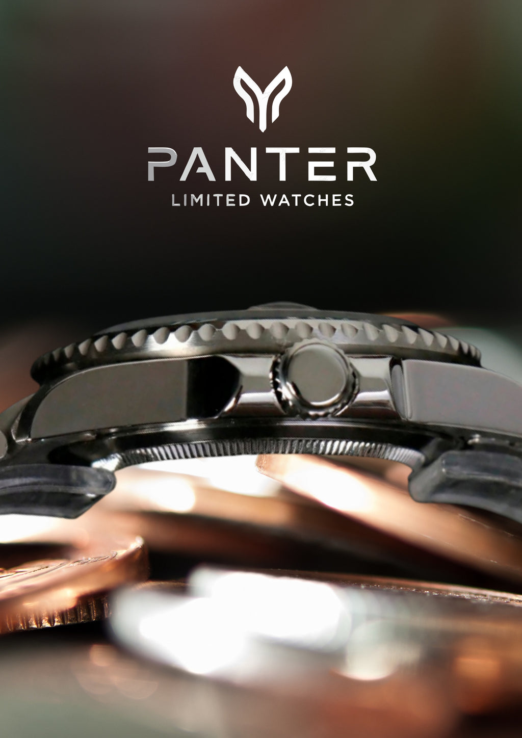 Automatic Watch PANTHER DIVER Bruce Wayne Jubilee