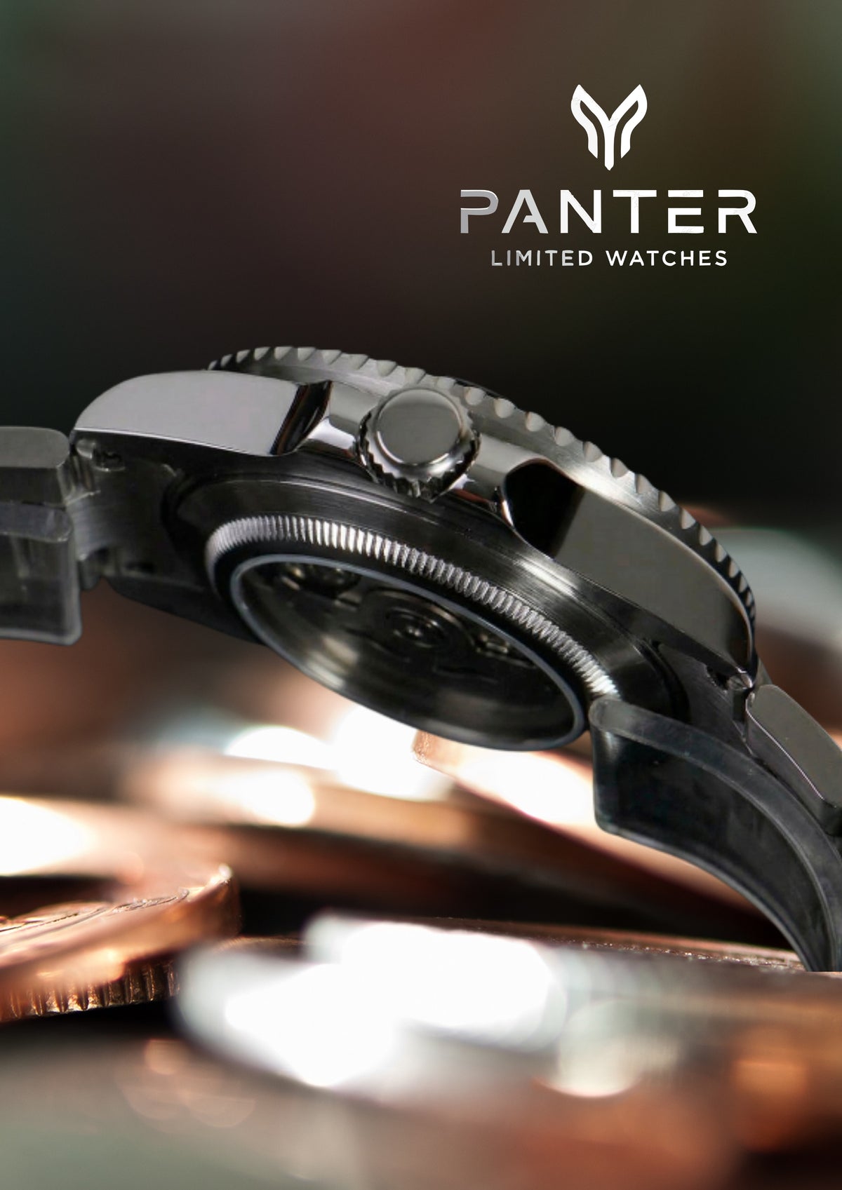 PANTHER DIVER Batman Automatic Watch